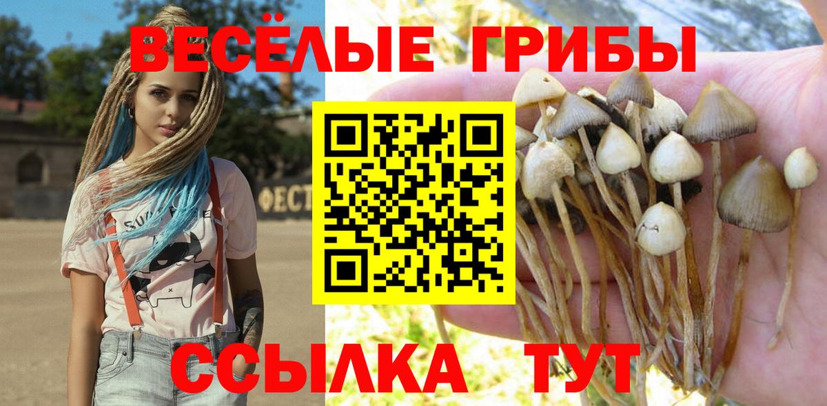 Псилоцибиновые грибы Psilocybine cubensis Минусинск