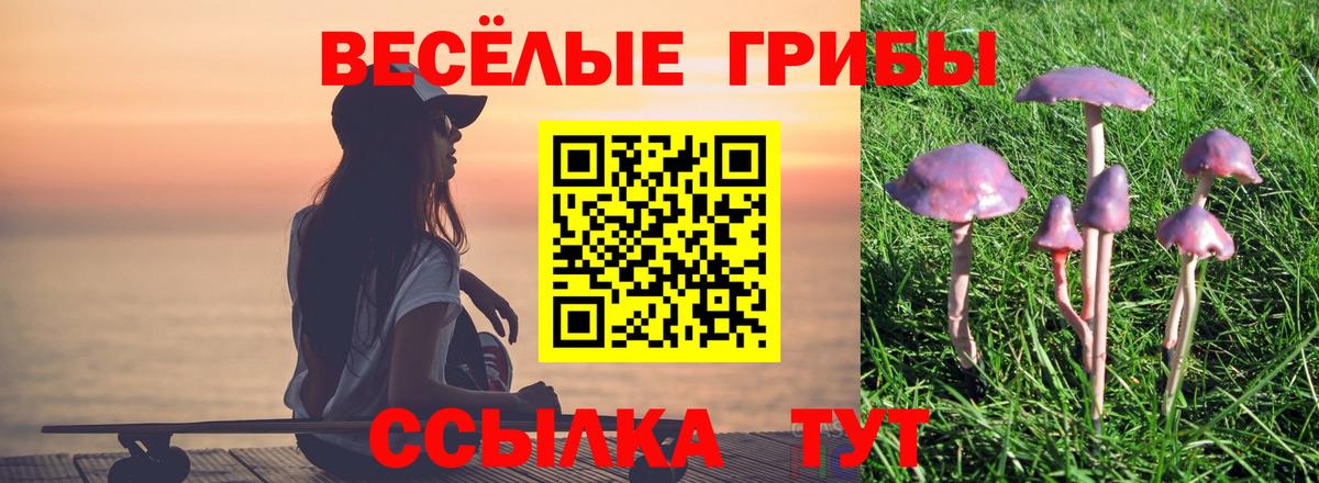 Галлюциногенные грибы GOLDEN TEACHER  Псилоцибиновые грибы Magic Shrooms  где купить наркотик  Вход с VPN  Минусинск 