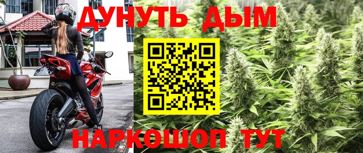 Каннабис сатива  Вход с VPN  Конопля план  Каннабис гибрид  Минусинск 